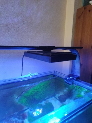 Ecotech Marine Radion Lámpara LED Acuario Marino