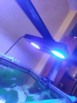 Ecotech Marine Radion Lámpara LED Acuario Marino