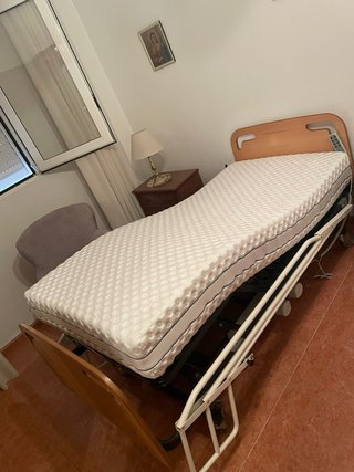 Cama articulada con colchón