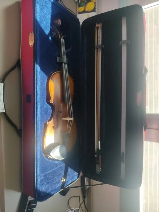 Funda de viola, arco y estuche.