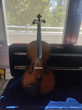 Funda de viola, arco y estuche.