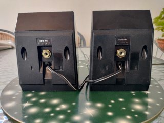 2 Altavoces Pioneer S-X1A Surround