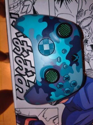 Mando Xbox Series Camo Mineral