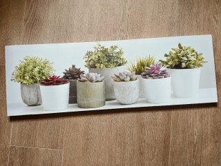 Cuadros Decorativos Plantas,medidas de 89x30 x2 cm