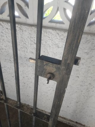 Puerta de forja con un diseño elegante y curvo en