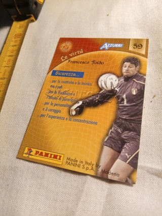 Cartolina Francesco Toldo Italia