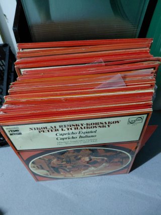 Discos de Vinilo mundo de la musica RTV