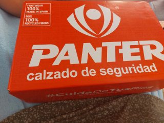 Zapatos de seguridad PANTER negros