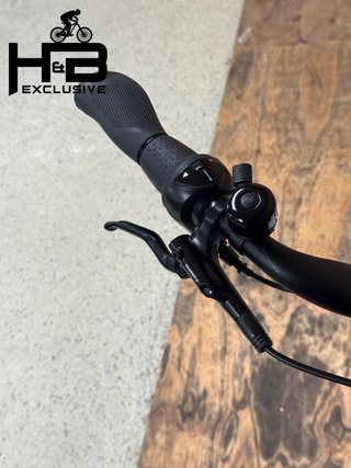 Bergamont E-Horizon N8 CB Shimano Nexus 2022