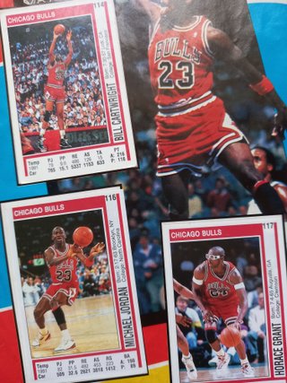 Álbum/ Caderneta Oficial NBA 91/92 Panini (ES/PT)