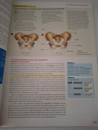 Il nuovo invito alla biologia.blu: Il corpo umano