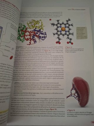 Il nuovo invito alla biologia.blu: Il corpo umano