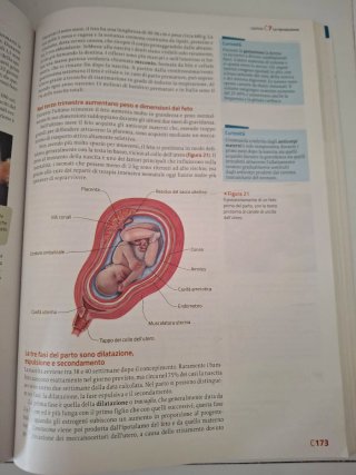 Il nuovo invito alla biologia.blu: Il corpo umano