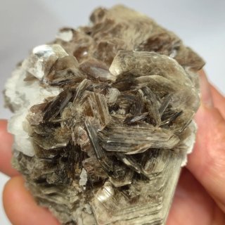 Moscovita natural cristalizada con albita Brasil