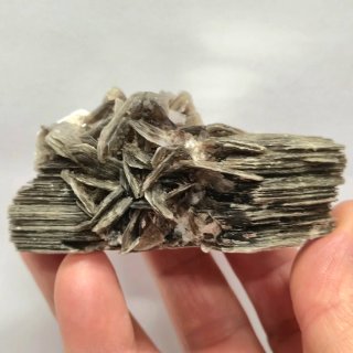 Moscovita natural cristalizada con albita Brasil