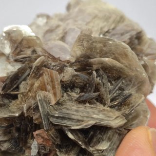 Moscovita natural cristalizada con albita Brasil