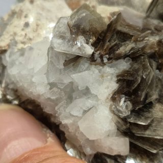 Moscovita natural cristalizada con albita Brasil