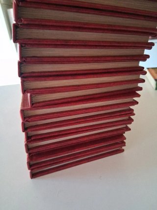 Lote de 14 libros Biblioteca de oro de la cocina