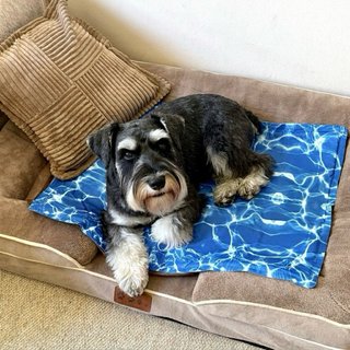 Alfombrilla refrigerante para mascotas Nobleza