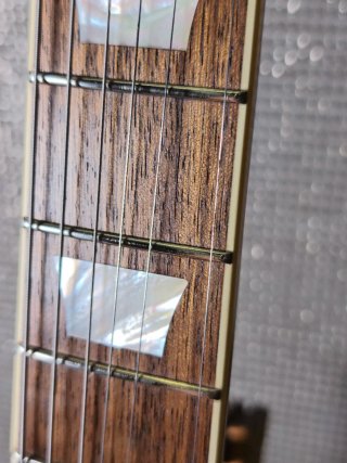 Epiphone Firebird V con Vibrola Inspired By Gibson
