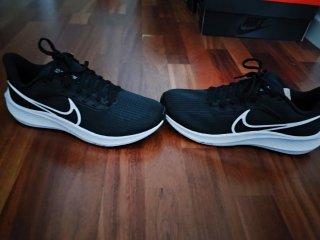 Zapatillas Nike Pegasus 39 Talla 41