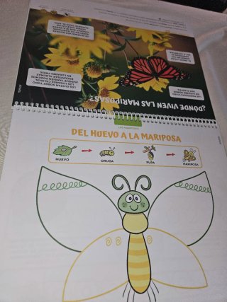 Abejas, hormigas, mariposas... Nivel 3  ANAYA