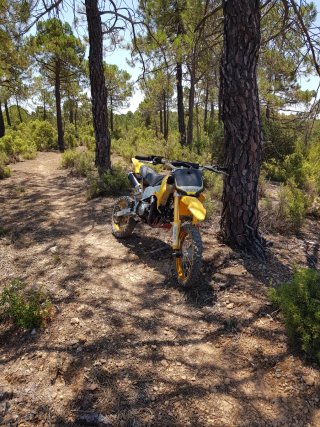 -Pitbike Orion 125cc 4t