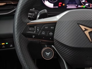 Cupra Terramar 2.0 TSI 150kW (204 CV) DSG 4 Drive