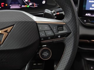 Cupra Terramar 2.0 TSI 150kW (204 CV) DSG 4 Drive