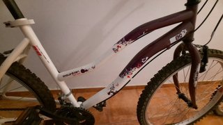Bicicleta Decathlon DC Mountain Series