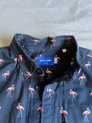 Camisa Jack Jones Flamencos Azul Rosa Manga Corta
