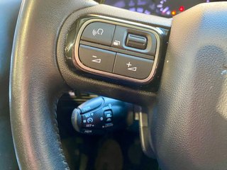 Citroen C3 Aircross 1.5 bluehdi 110cv 10/2022