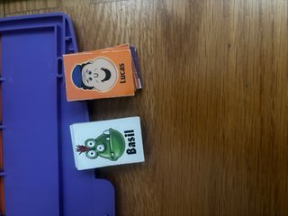 Juego Quien es quien? Pavilion 5+