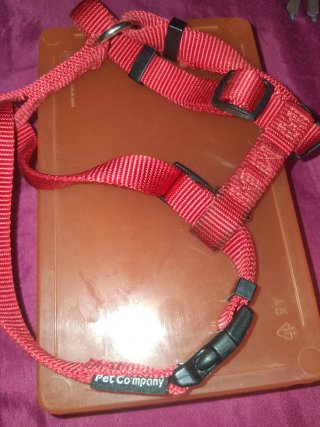 Lotto gadget cani pupazzi, collare, pettorina