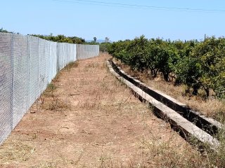 Alquiler 200€ terreno 1084m2 Alquerias vallado