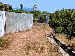 Alquiler 200€ terreno 1084m2 Alquerias vallado
