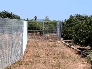 Alquiler 200€ terreno 1084m2 Alquerias vallado