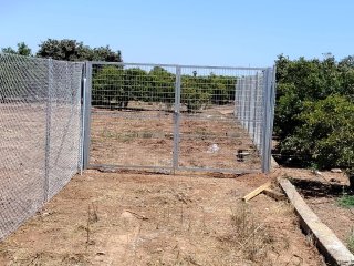Alquiler 200€ terreno 1084m2 Alquerias vallado