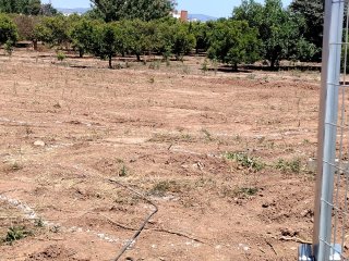 Alquiler 200€ terreno 1084m2 Alquerias vallado