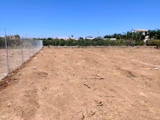 Alquiler 200€ terreno 1084m2 Alquerias vallado