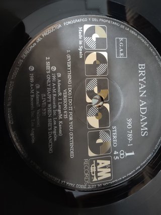 Vinilo Bryan Adams Robin Hood Prince of Thieves
