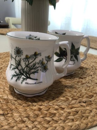 Tazas de porcelana David Michael