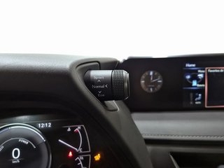 Lexus UX 2.0 250h Premium