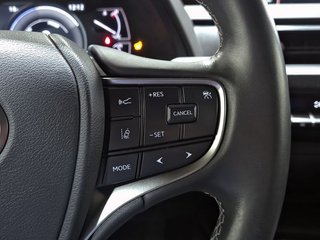Lexus UX 2.0 250h Premium