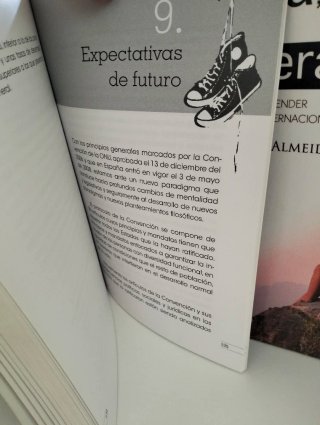 Cordones para zapatillas/Mamá quiero ser cooperant