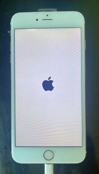 iPhone 6s Plus 64GB Rose Gold Libre