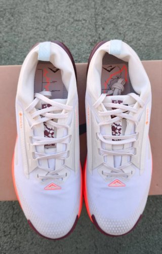 Nike Pegasus Trail 5 GORE-TEX