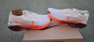 Nike Pegasus Trail 5 GORE-TEX