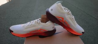 Nike Pegasus Trail 5 GORE-TEX