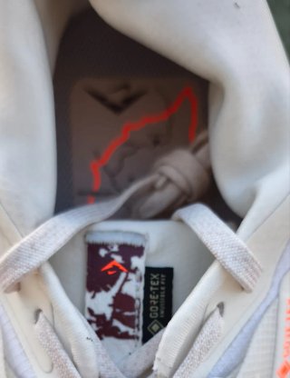 Nike Pegasus Trail 5 GORE-TEX
